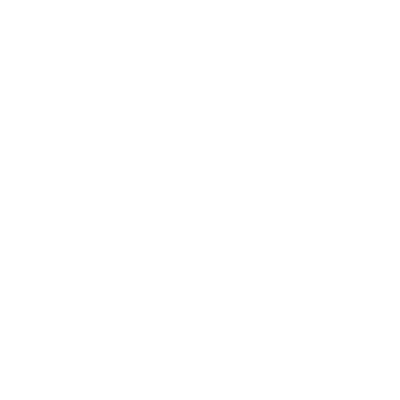 Bongshai Foundation logo